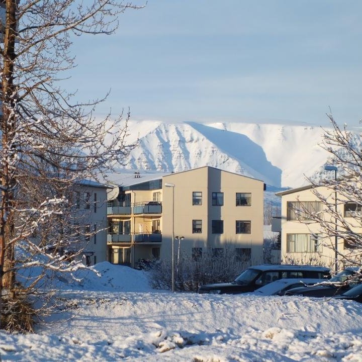 Erlendu gestirnir nutu veðurblíðunnar á Akureyri