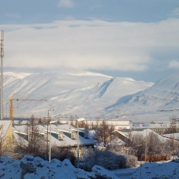 Erlendu gestirnir nutu veðurblíðunnar á Akureyri