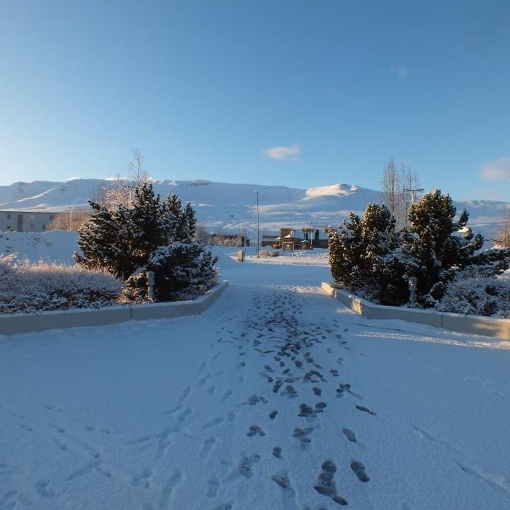 Erlendu gestirnir nutu veðurblíðunnar á Akureyri