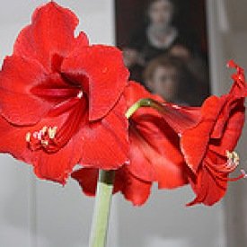 Létt kvöldstund með Krossbandinu