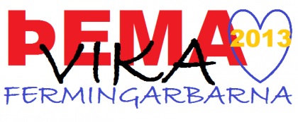 Vantar gistingu fyrir 10 manns