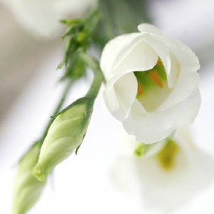 Minningarstund vegna fósturláta