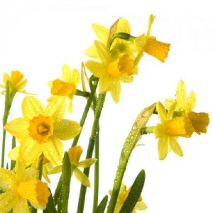 Helgihald í Glerárkirkju um Páska.