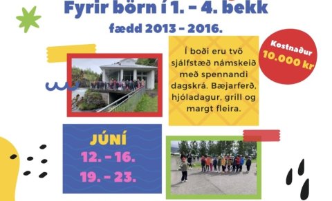 Sumarnámskeið 2023