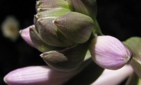 Páskavaka, laugardagskvöldið 7. apríl