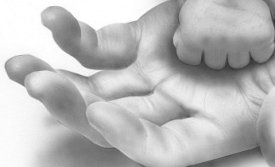 Foreldramorgnar hefjast fimmtudaginn 12. janúar