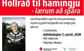 Hollráð til hamingju - lærum að spara