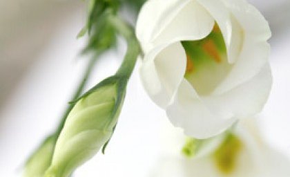 Minningarstund vegna fósturláta