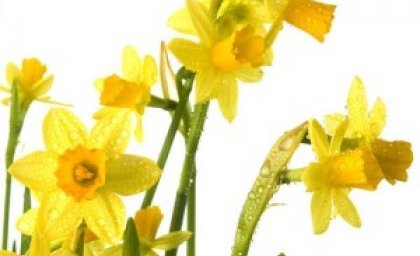 Helgihald í Glerárkirkju um Páska.