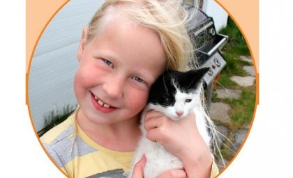 Mynd af forsíðu bæklingsins